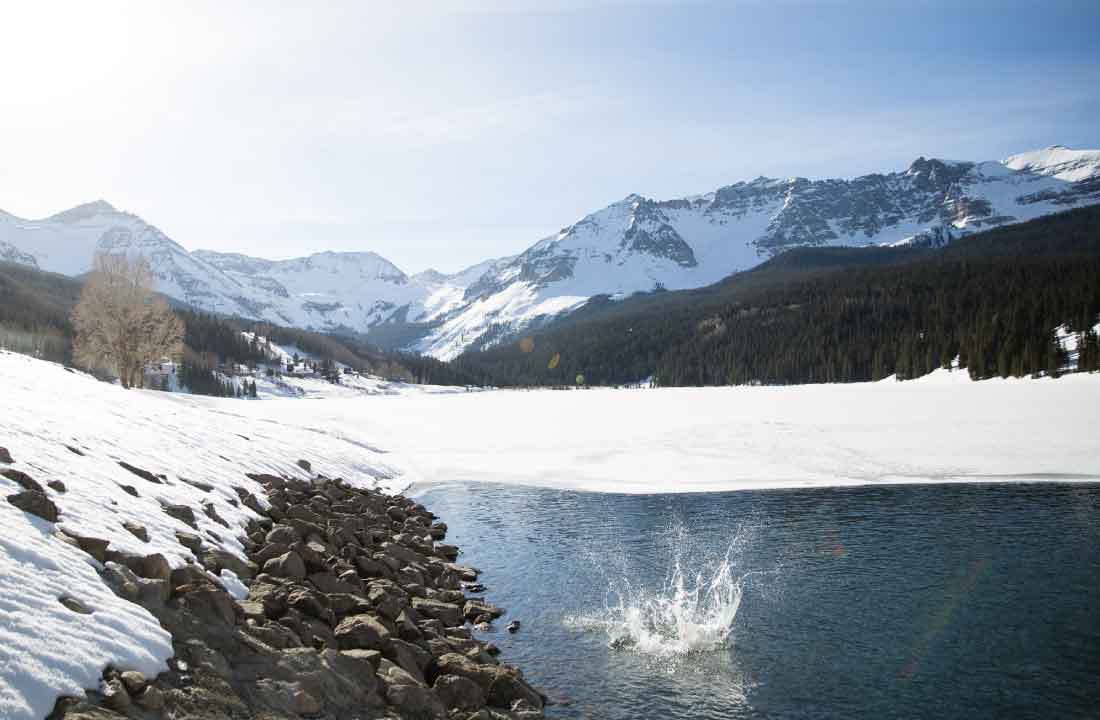 Telluride - Abbott NYC